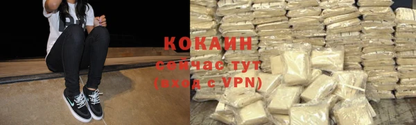 дмт Арсеньев
