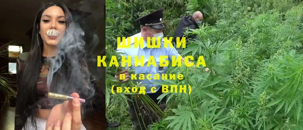 амф Аркадак