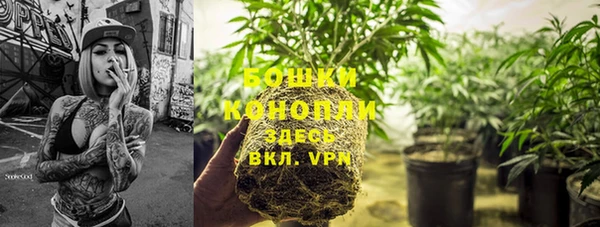 дмт Арсеньев