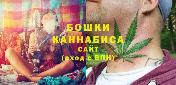 дмт Арсеньев